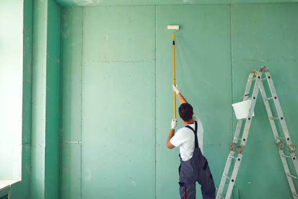 Best Attic Mold Removal  in Hayneville, AL