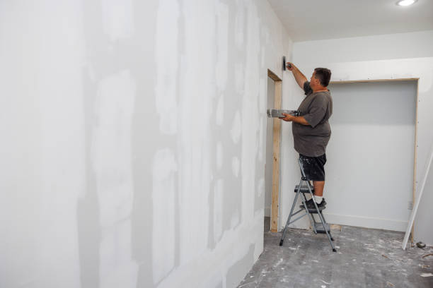 Reliable Hayneville, AL Mold Removal Solutions